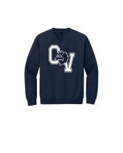 DSST College View Gildan Youth Heavy Blend Crewneck Sweatshirt. 18000B