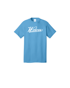 DSST College View Puffed Port & Co Youth Core Cotton DTG Tee PC54YDTG