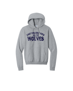 DSST College View Port & Co Youth Core Fleece Pullover Hooded Sweatshirt. PC90YH